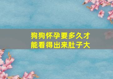 狗狗怀孕要多久才能看得出来肚子大