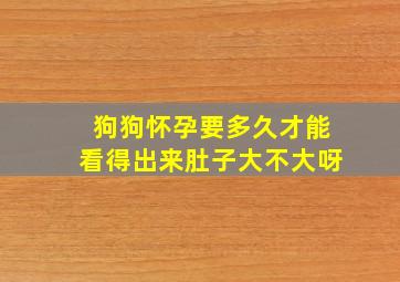 狗狗怀孕要多久才能看得出来肚子大不大呀