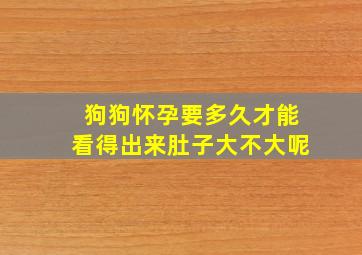 狗狗怀孕要多久才能看得出来肚子大不大呢