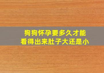 狗狗怀孕要多久才能看得出来肚子大还是小