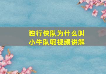 独行侠队为什么叫小牛队呢视频讲解