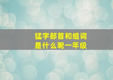 猛字部首和组词是什么呢一年级