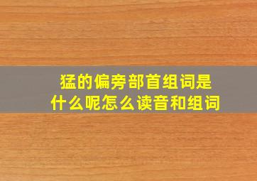 猛的偏旁部首组词是什么呢怎么读音和组词