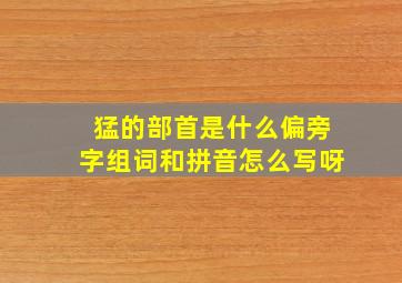 猛的部首是什么偏旁字组词和拼音怎么写呀