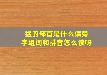 猛的部首是什么偏旁字组词和拼音怎么读呀