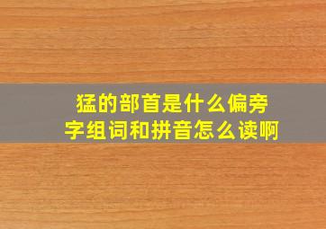 猛的部首是什么偏旁字组词和拼音怎么读啊