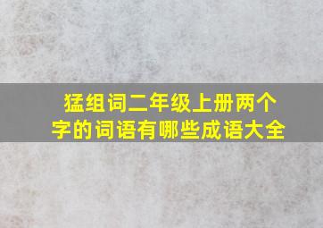 猛组词二年级上册两个字的词语有哪些成语大全