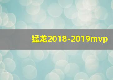 猛龙2018-2019mvp