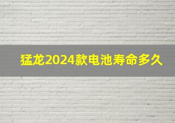 猛龙2024款电池寿命多久