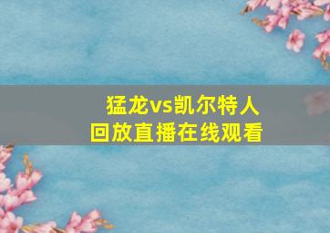 猛龙vs凯尔特人回放直播在线观看