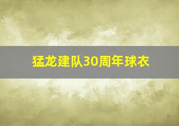 猛龙建队30周年球衣