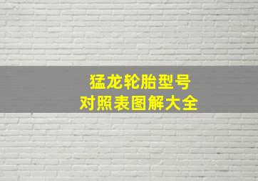 猛龙轮胎型号对照表图解大全