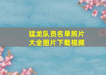 猛龙队员名单照片大全图片下载视频