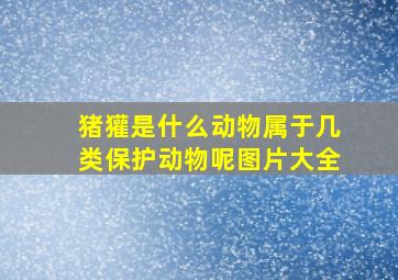 猪獾是什么动物属于几类保护动物呢图片大全