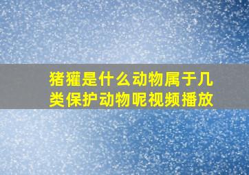 猪獾是什么动物属于几类保护动物呢视频播放