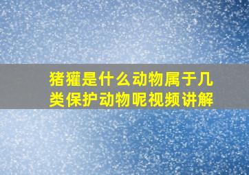 猪獾是什么动物属于几类保护动物呢视频讲解