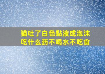 猫吐了白色黏液或泡沫吃什么药不喝水不吃食