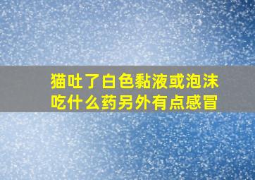 猫吐了白色黏液或泡沫吃什么药另外有点感冒