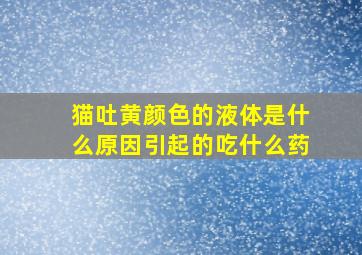 猫吐黄颜色的液体是什么原因引起的吃什么药