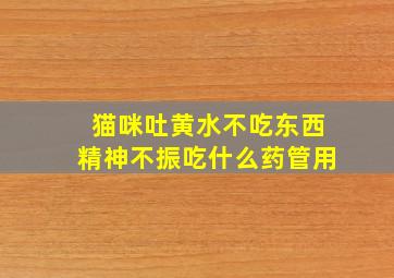 猫咪吐黄水不吃东西精神不振吃什么药管用