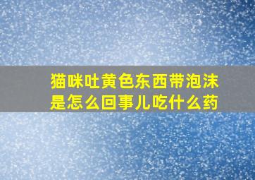 猫咪吐黄色东西带泡沫是怎么回事儿吃什么药