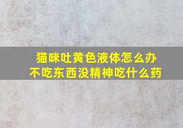 猫咪吐黄色液体怎么办不吃东西没精神吃什么药