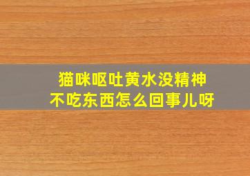 猫咪呕吐黄水没精神不吃东西怎么回事儿呀