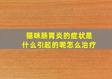 猫咪肠胃炎的症状是什么引起的呢怎么治疗