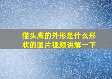 猫头鹰的外形是什么形状的图片视频讲解一下