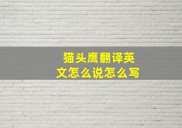 猫头鹰翻译英文怎么说怎么写