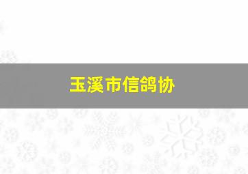 玉溪市信鸽协