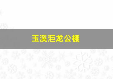 玉溪洰龙公棚