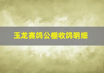 玉龙赛鸽公棚收鸽明细