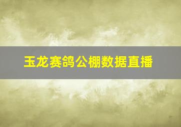 玉龙赛鸽公棚数据直播