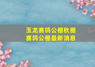 玉龙赛鸽公棚秋棚赛鸽公棚最新消息