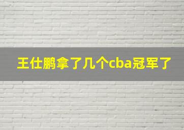 王仕鹏拿了几个cba冠军了