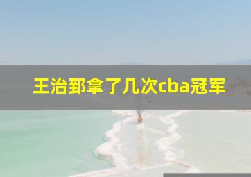 王治郅拿了几次cba冠军