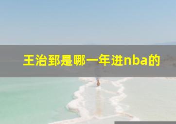 王治郅是哪一年进nba的