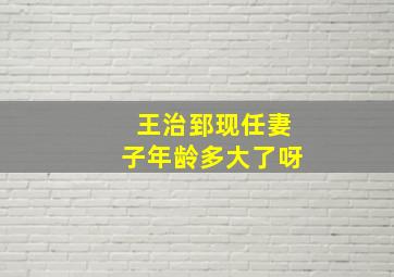 王治郅现任妻子年龄多大了呀