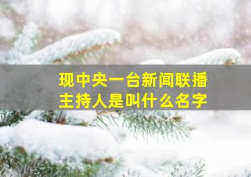 现中央一台新闻联播主持人是叫什么名字