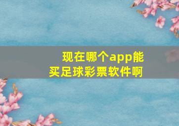 现在哪个app能买足球彩票软件啊