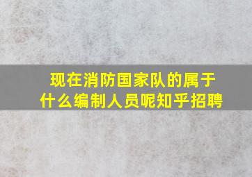 现在消防国家队的属于什么编制人员呢知乎招聘