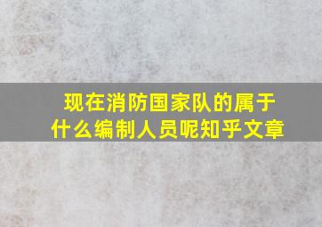 现在消防国家队的属于什么编制人员呢知乎文章