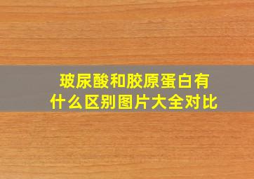 玻尿酸和胶原蛋白有什么区别图片大全对比