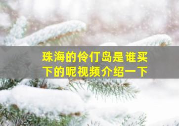 珠海的伶仃岛是谁买下的呢视频介绍一下