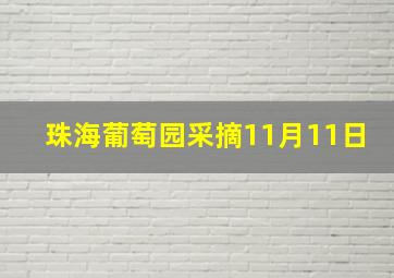 珠海葡萄园采摘11月11日