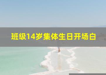 班级14岁集体生日开场白