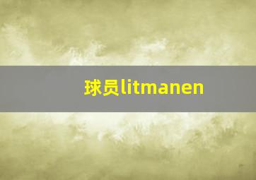 球员litmanen