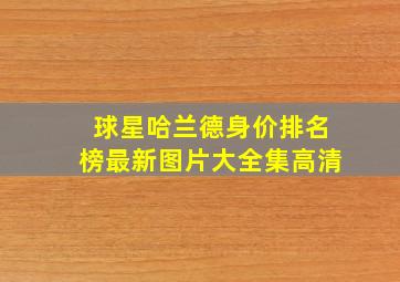 球星哈兰德身价排名榜最新图片大全集高清