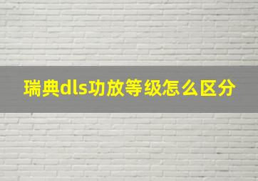 瑞典dls功放等级怎么区分